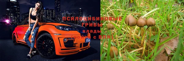 2c-b Белая Холуница