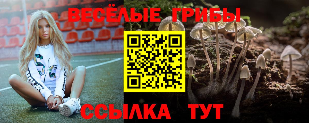 Галлюциногенные грибы мухоморы Магадан