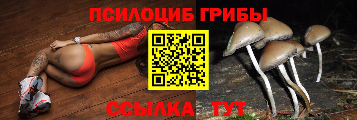 Псилоцибиновые грибы Magic Shrooms  Вход с VPN  Магадан 