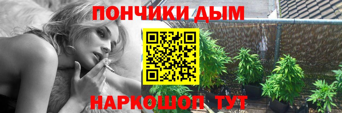 Бошки марихуана гибрид  Вход с VPN  Магадан  Каннабис ГИДРОПОН  Канабис план 